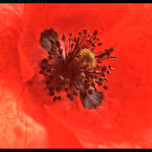 3787080761074609709675817509753112159059746763483256848434353793091896344577