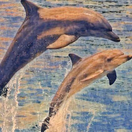 Item #39800324863389322776906793447436645107867592537882393143685198610205658578945 Media