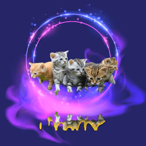 Item #73055580607999138594958846127305981446441350474328861882101252389800526217316 Media