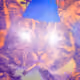 97562154016432077707463394845078567445814693939729375599545620685697635581962