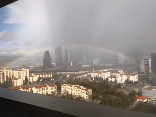 Untitled Collection #21572643