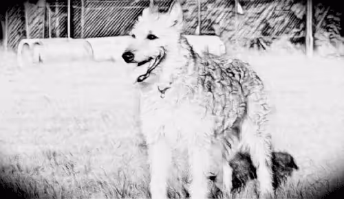 Item #23143313246472061328071561115701105421589606567298838424350448153335615717377 Media