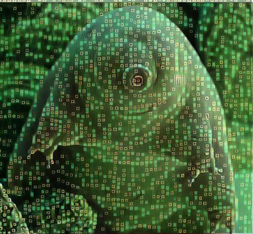 Item #55925376742051813904896437182867828164130329341764261009033723757754484523009 Media