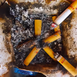 cigarette butt 🚬#1