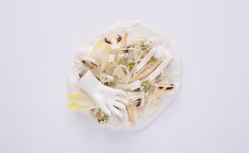 Item #84765084526323986675949995461952461534862136488638800719247366817771828543489 Media