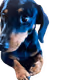 74388183107571848256633446996010033662379072698002169646249461048756829945857