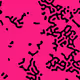 101701094206175850218338394222111736152098102952512760406699235710171332214785