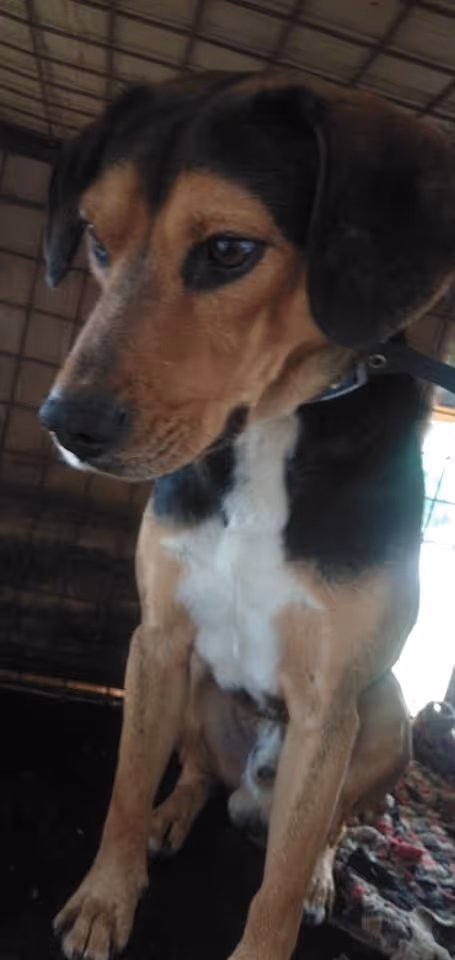 Item #23439807421783349604606688817165201350165750151979961366033252240297362980865 Media