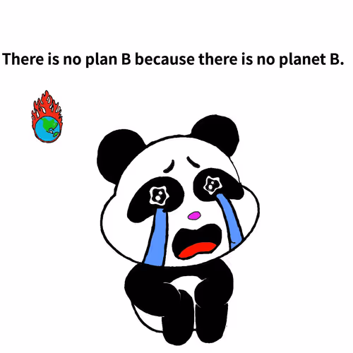 Item #50792957721166012347795101891873753949989109732620926164706007744249117802506 Media