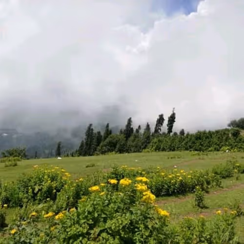 Item #68498948600142544518103313069894148585274410698911262879626619394492681158657 Media