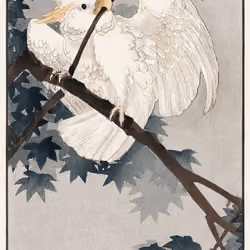 Ohara Koson - Yellow crested cockatoo in tree