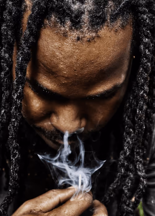 Item #73711068832981907332678165099169316709387855921890177602184069657021034528769 Media