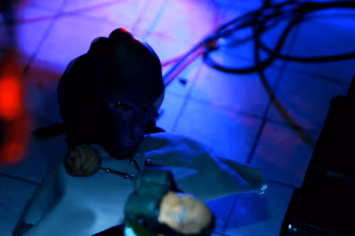 Item #30677718132475860855715520128052220814789340861686213117566221750601460482049 Media