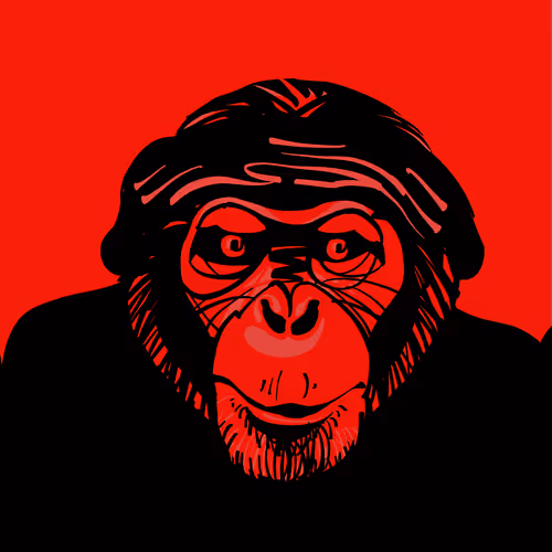 Item #112503790790204446160533523295167340497284886353521950752995667474856972124162 Media