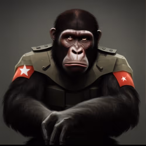 Untitled Collection #3052913732