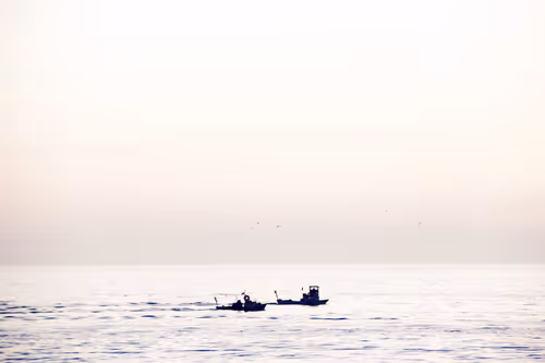 Item #94594472800492689210511791646247881716921421318605375343824232241712083238922 Media