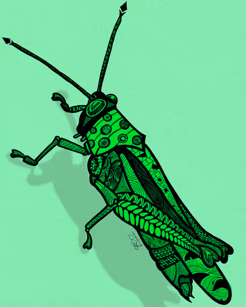 Item #2141876490357759120430650073325956874644020844603919275595865724726791897089 Media