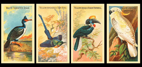 Item #29469762708973987410534374363082415391887994407260107380267554474420823131112 Media