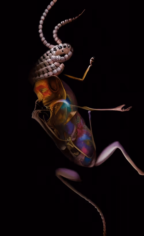 Item #79787343889813582877510155558909016850160649261811296348419943802192762241025 Media