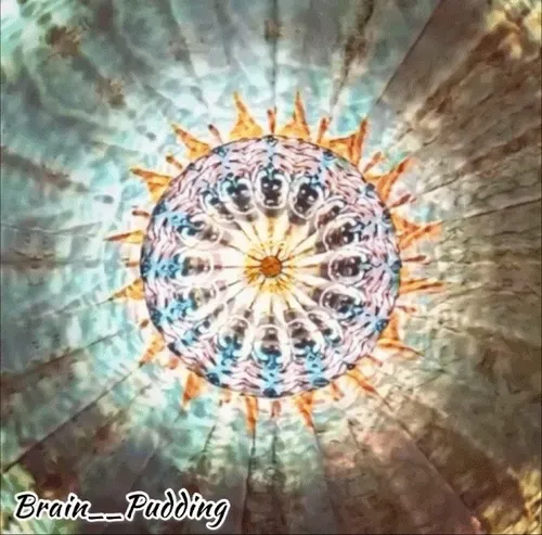 Item #113439454691178996606333270529637530145403269935042134011405949884749104283650 Media