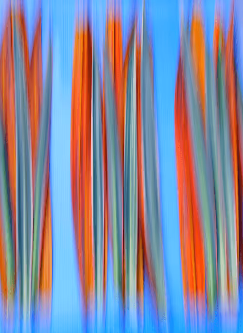 Item #23265726314410109476129301555838572111439838682222879854994044796182026256385 Media