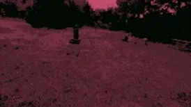 Item #113466216098082461716680330060520924376328952215349506397024801474886974313352 Media