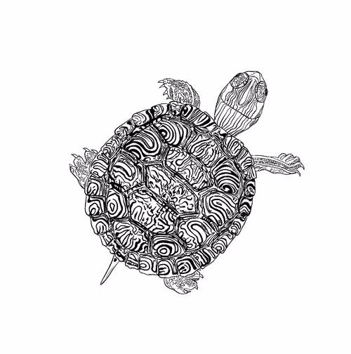 Item #115642348900939839605664246345985153537088577067861875053419533917450311565313 Media