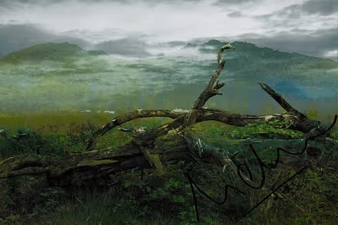 Item #69205450492772535215099843961987462901911865778490748448247794299693604798497 Media