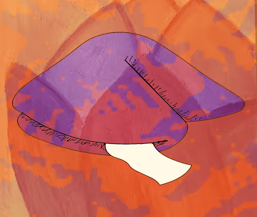 Item #56177743258238353915692039261457950691196406802314425732675602468427354079257 Media