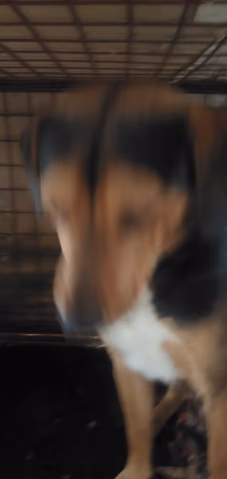 Item #23439807421783349604606688817165201350165750151979961366033252231501269958657 Media