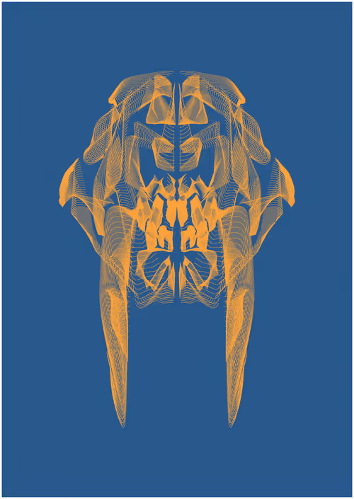 Item #9767327165894894290023660334898078951547970944416148974625454795208968372225 Media