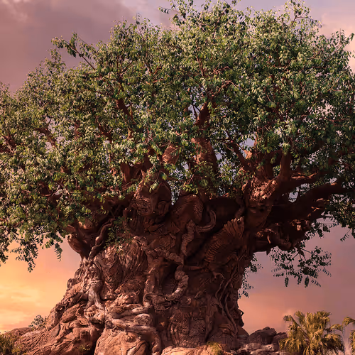 Item #88004996534824683595530724546599971679500479885653343253103225468220442935297 Media