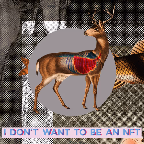 Item #3530187889540553224700552633621350802399192504372702264799301429447849148417 Media