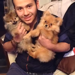 Amir Salar