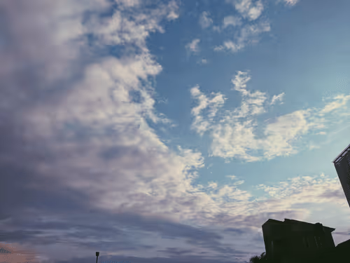 Untitled Collection #197484074