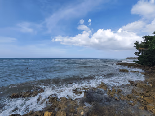 Item #98472539149852497909772220336016906941304707111889246531472116299521654259713 Media