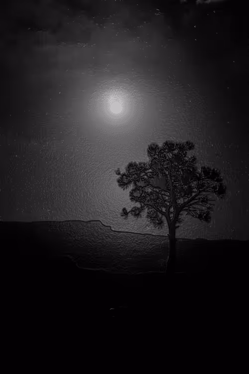 Item #52655132106615007427639537052126499358755561016261279021780266146211473391617 Media