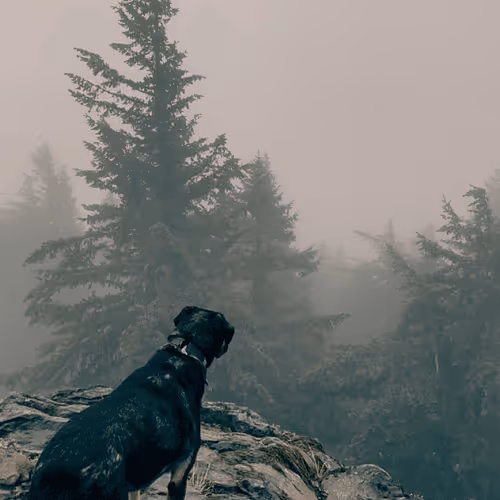 2005862319158051831365229387864138466486092287762213337058068730724143333377