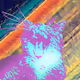110666276841203596158287506744989771636124593017889415675518719504532413349889