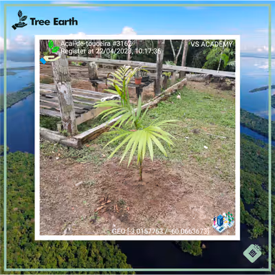 Item #8500196597889277390194123329501889087166328879864934763448349365775546449921 Media