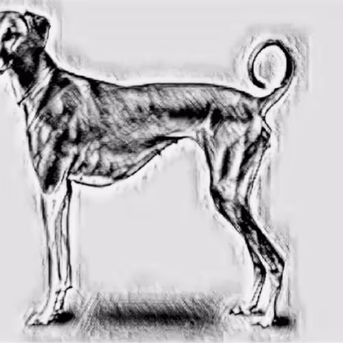 Item #23143313246472061328071561115701105421589606567298838424350448132444894789633 Media