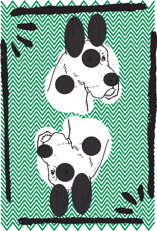 Item #51224915966700160774538338430496236534362062465209534242812469052945100439577 Media