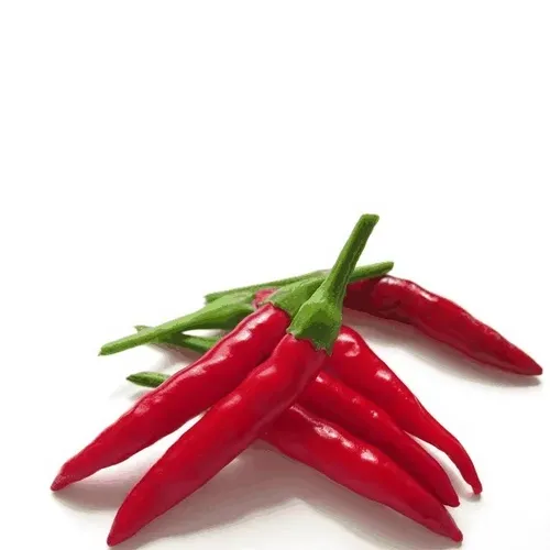 Item #95753456438183076012407588997867396722705792030743394217310034111003747155969 Media