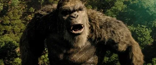 kingkongclub Collection