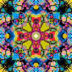 Symmetrical Madness Third