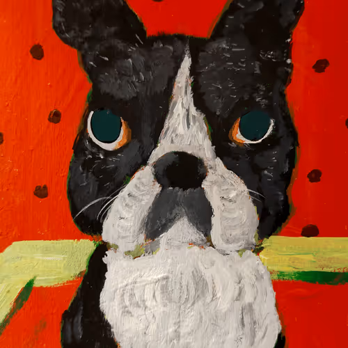 BostonterrierArt #000