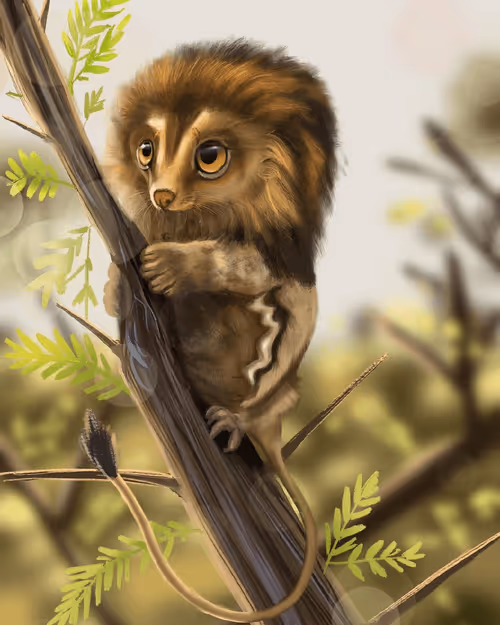 Item #92653617760102030904218862550610393359558394307813449742985135133667415293953 Media