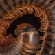 856498596193060581351909147315985063177799031343408281289310305852978102273