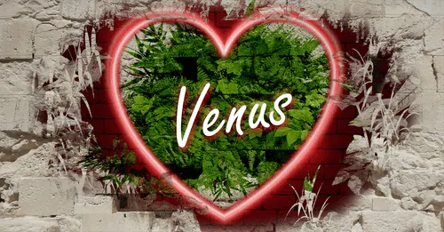 Item #68053287575525751288269231675427811746861684968250582901590729603528253243402 Media