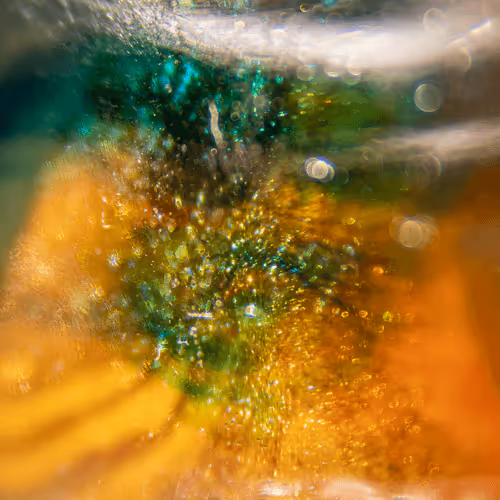 Item #8251270981130702250905355697814279819197198943221984468281114911804483436545 Media